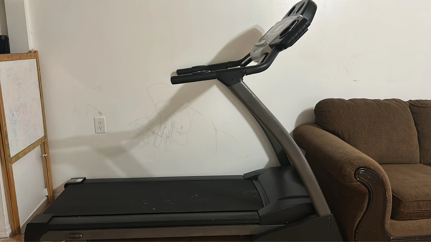 ProForm Treadmill plus sofa