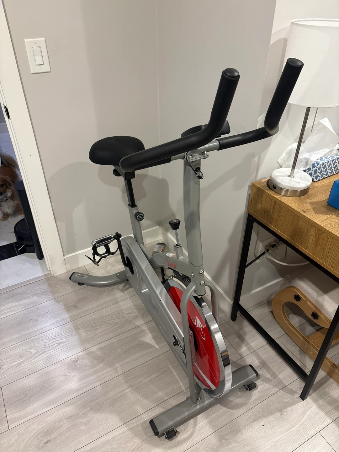 Stationary Exercise Bike