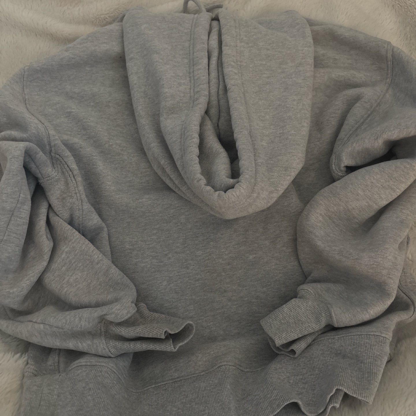 Aritzia TNA Sweatfleece cozy fleece boyfriend hoodie - photo 2