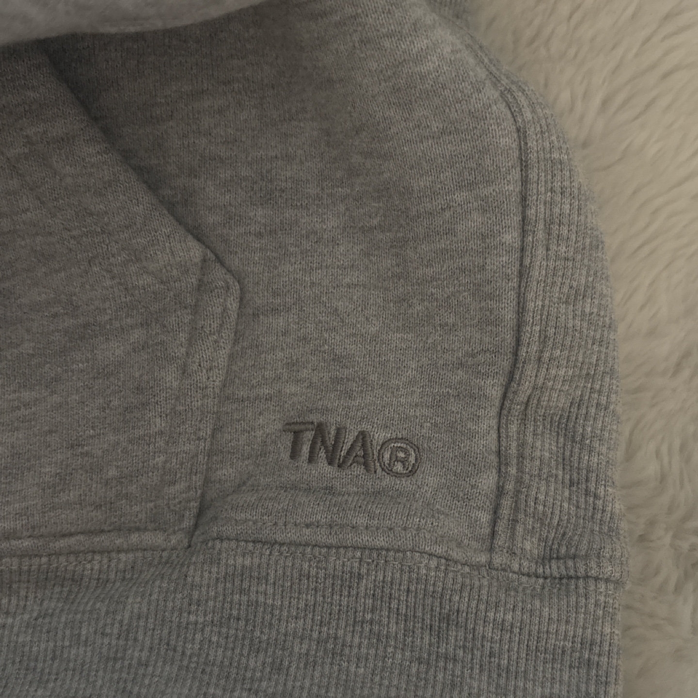 Aritzia TNA Sweatfleece cozy fleece boyfriend hoodie - photo 4