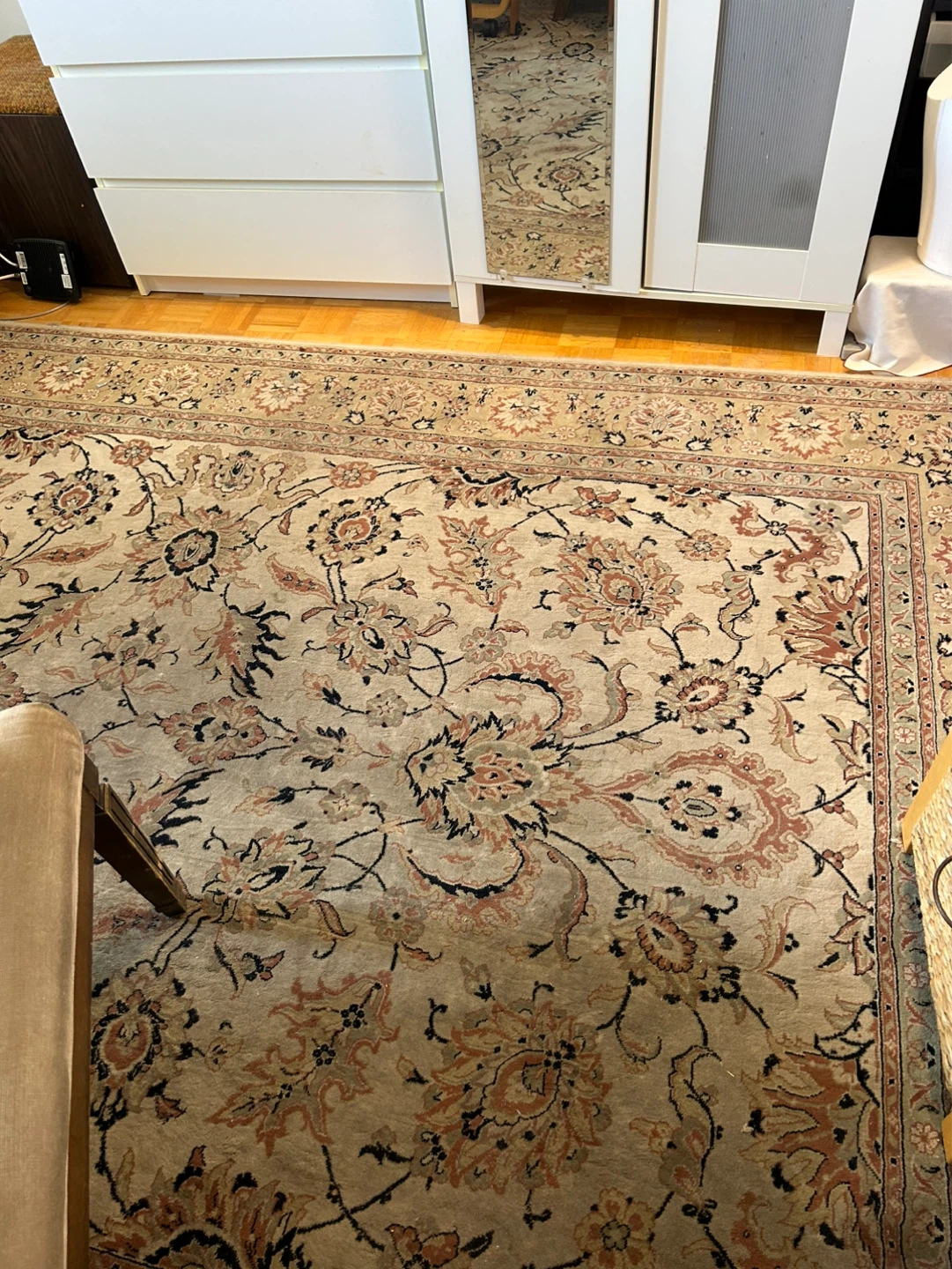Persian Style Area Rug