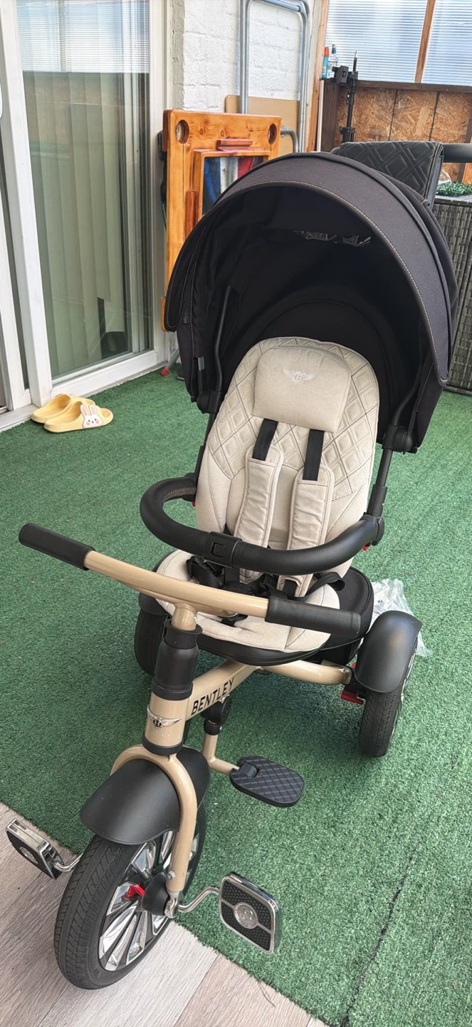 Bentley Trike Stroller - photo 5