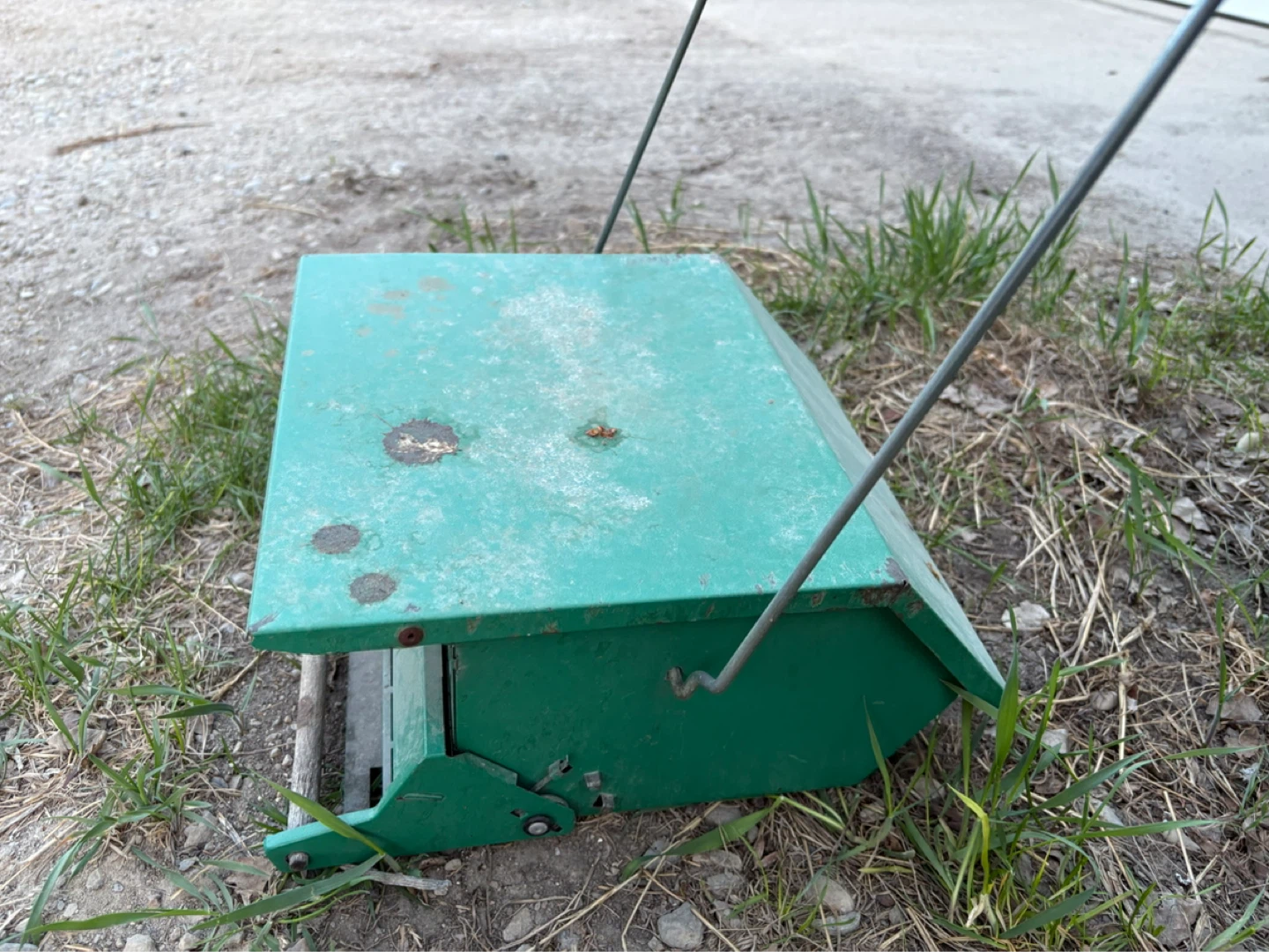 Green Metal Bird Feeder