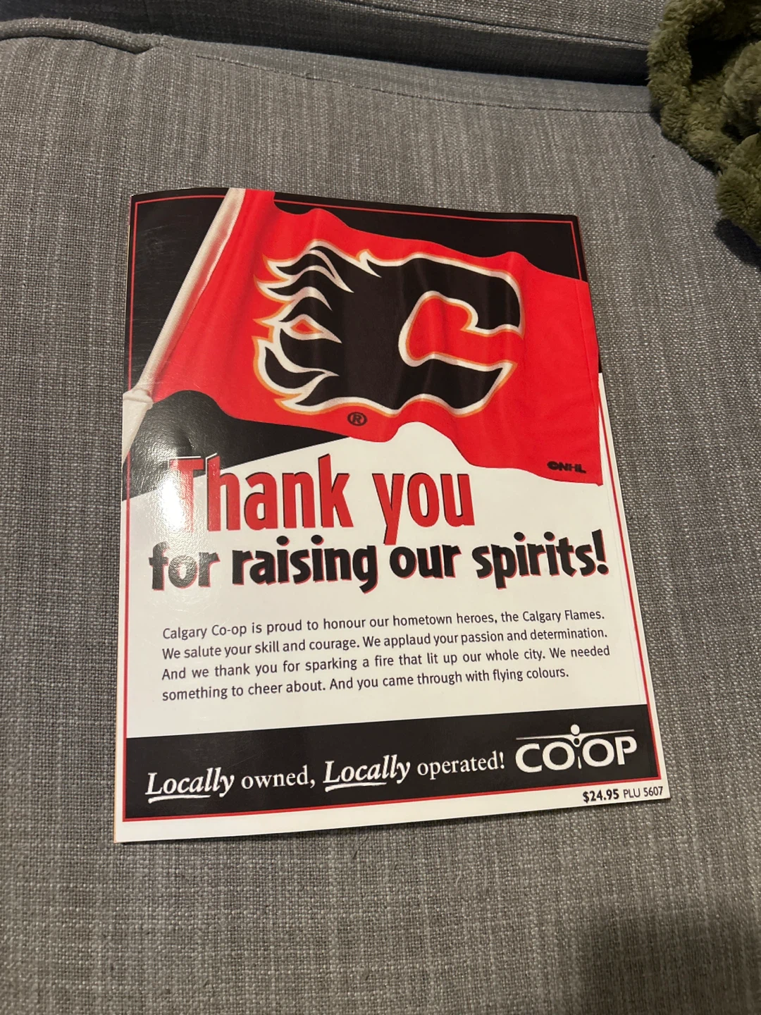 Greatest Moments in Calgary Flames Hockey History Book - photo 2