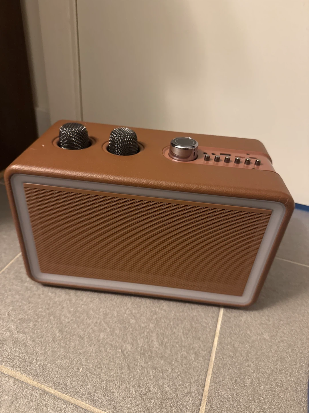 Karaoke Machine Bluetooth Speaker with 2 Microphones