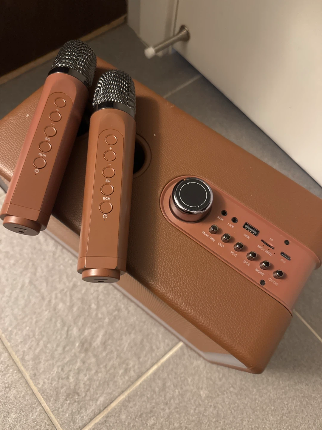 Karaoke Machine Bluetooth Speaker with 2 Microphones - photo 2