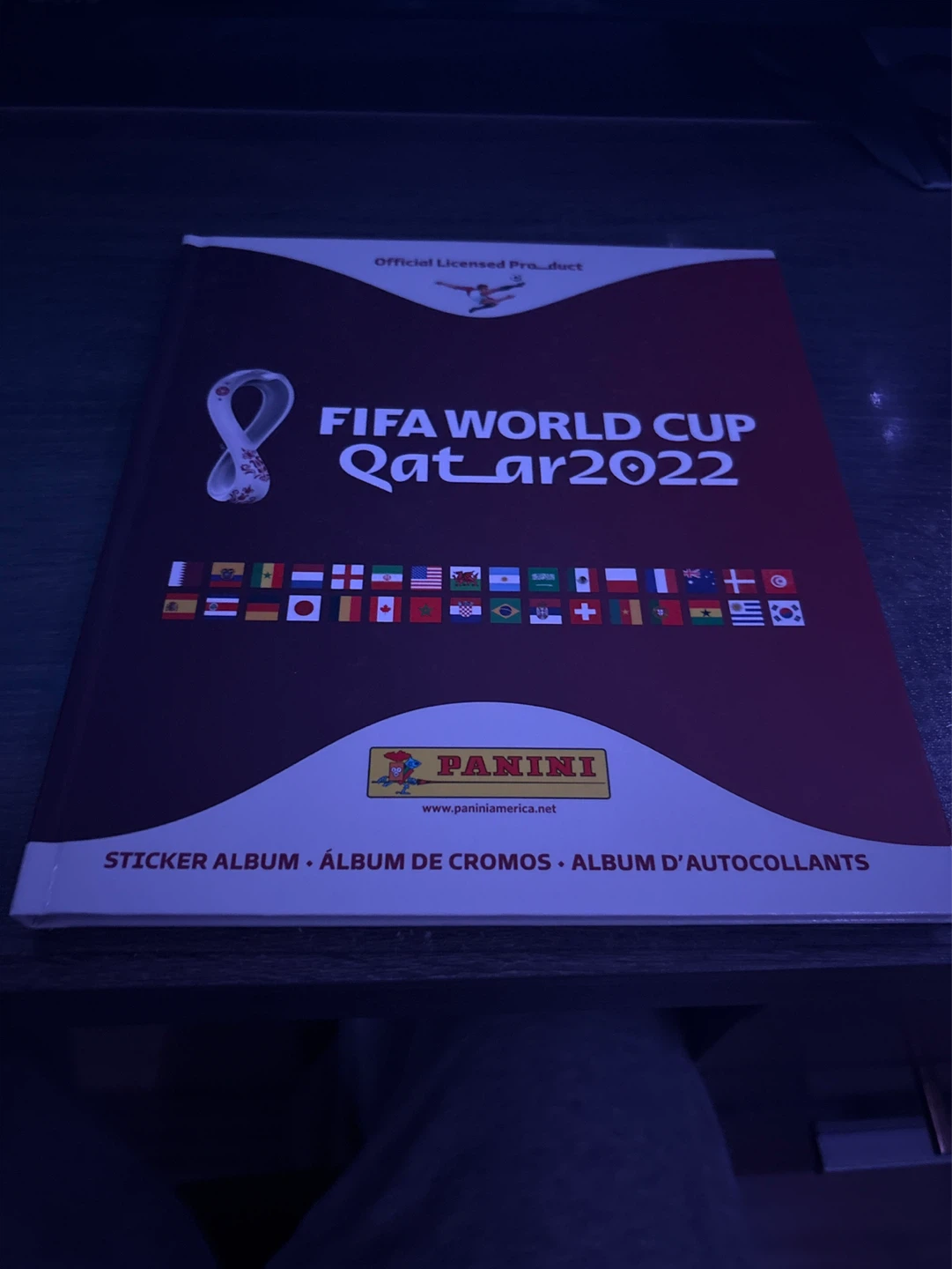 UNCOMPLETED Panini FIFA World Cup Qatar 2022 Sticker Album