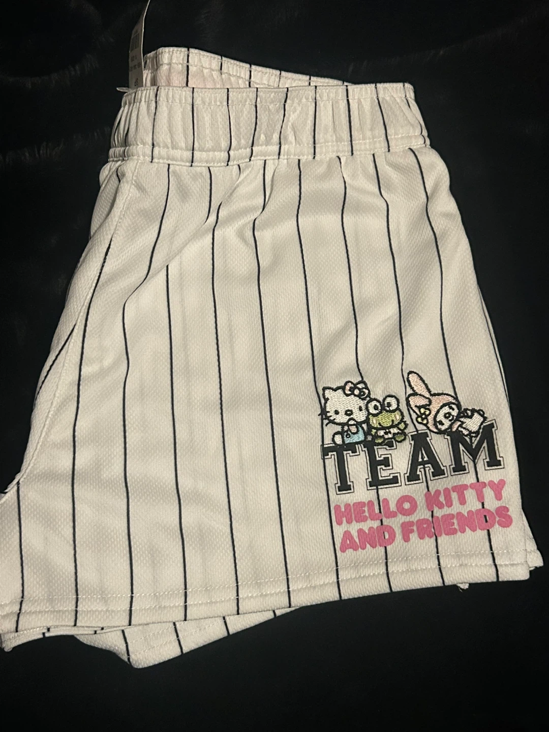 Hello Kitty and Friends "Team" Shorts - photo 3