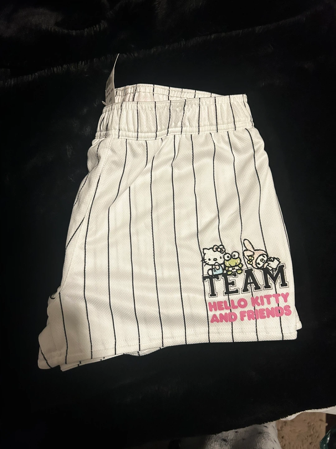 Hello Kitty and Friends "Team" Shorts - photo 2