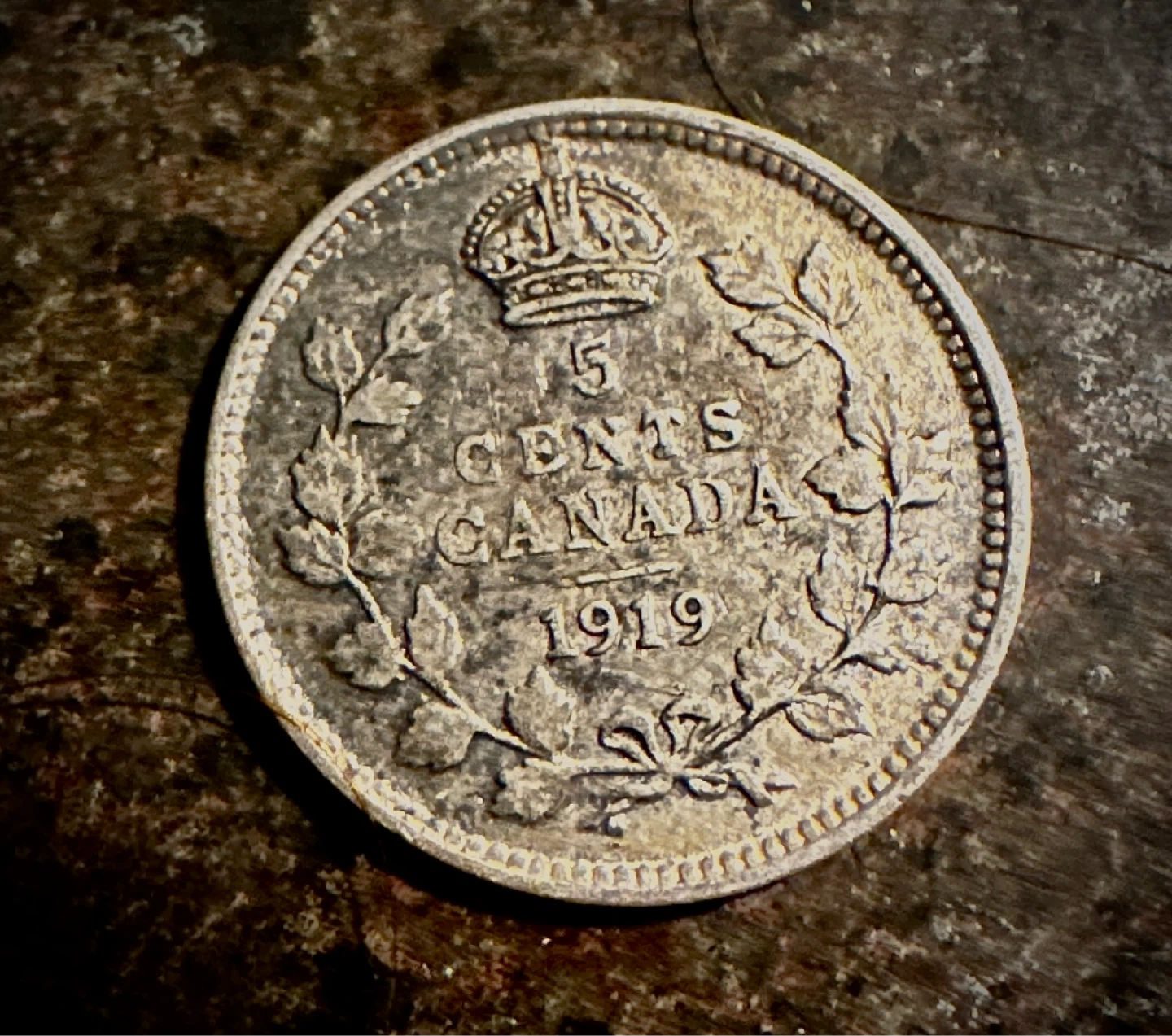 1919 Silver Canadian 5 Cents Coin - George V