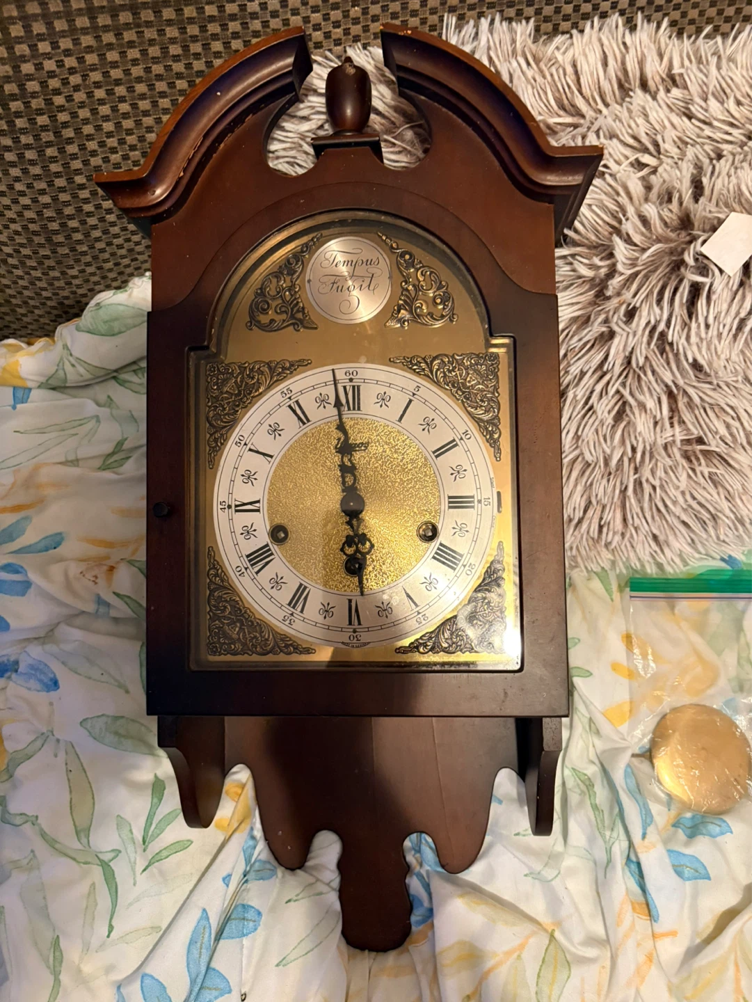 Vintage Tempus Fugit Wall Clock