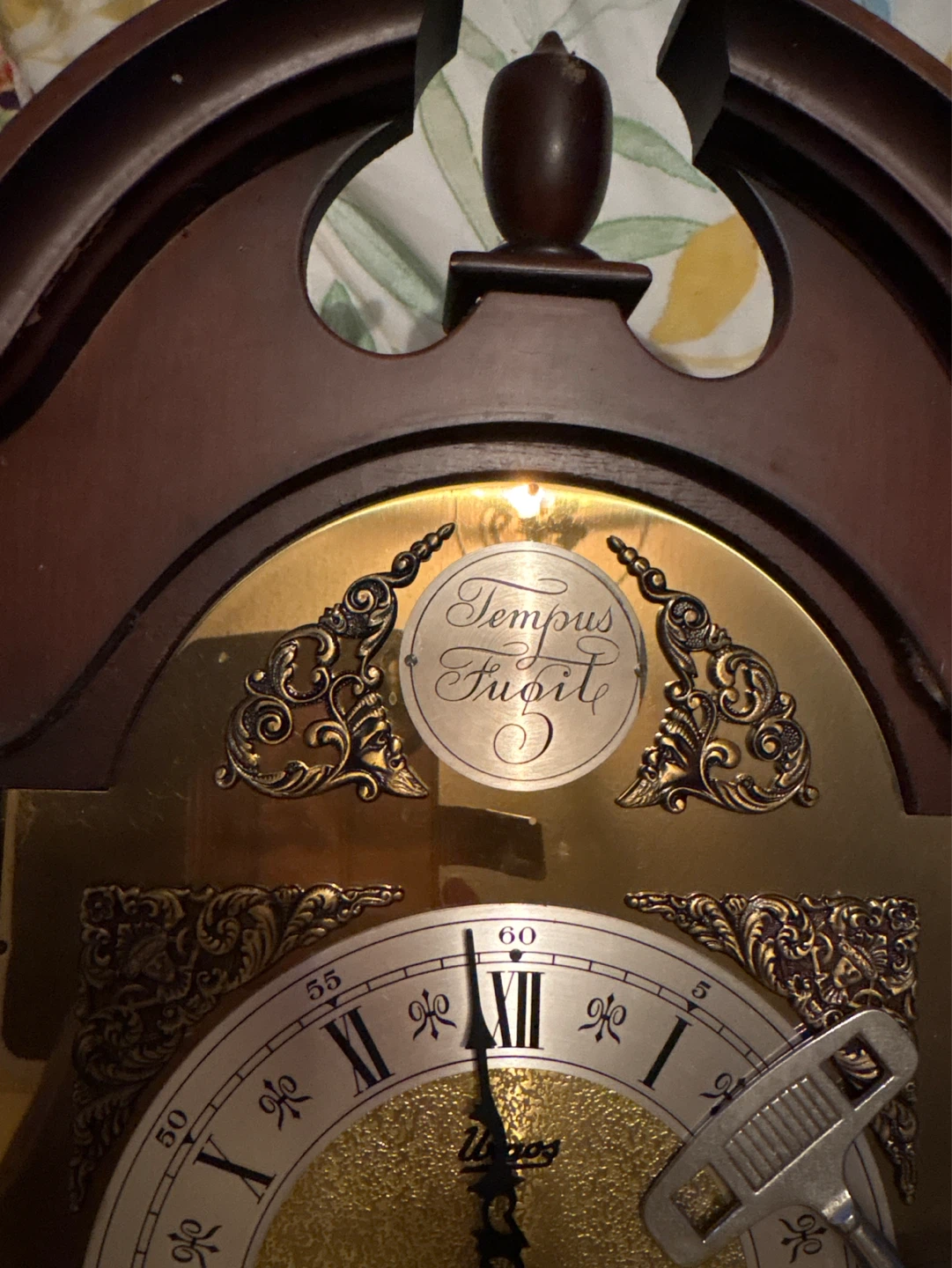 Vintage Tempus Fugit Wall Clock - photo 4