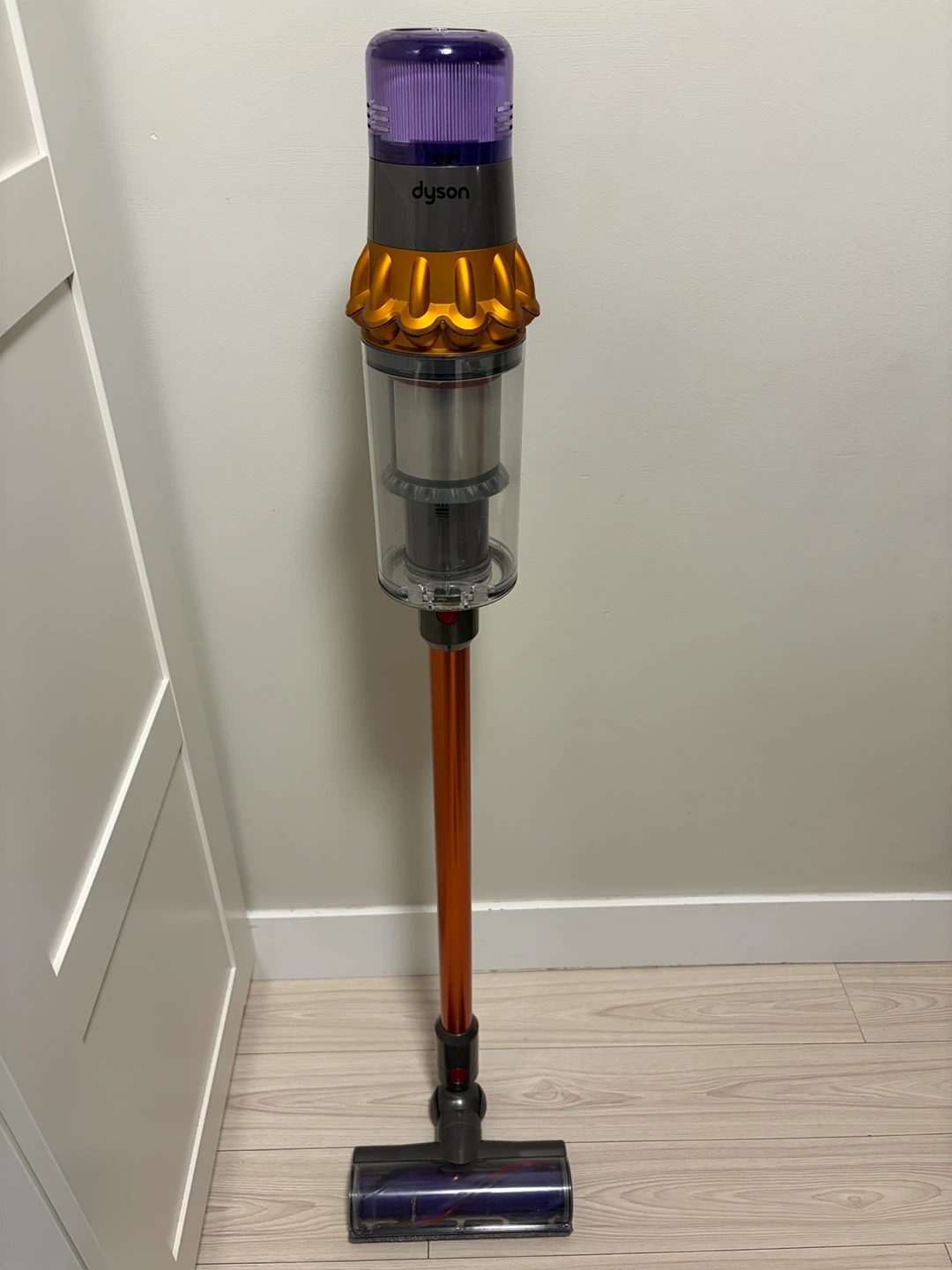 Dyson Cordless Vacuum- V15