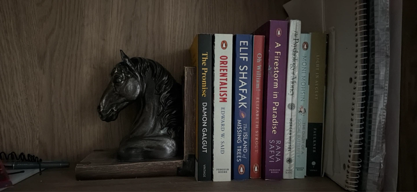 Aesthetic Bronze Horse Decor + book bundle for Sale