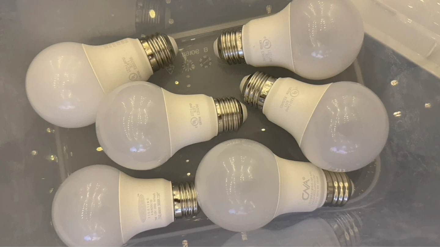 LED Light Bulbs