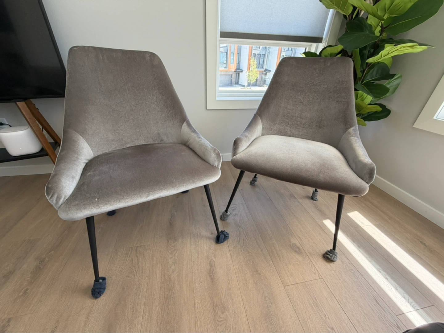 Grey Velvet Accent Chairs (Set of 2)