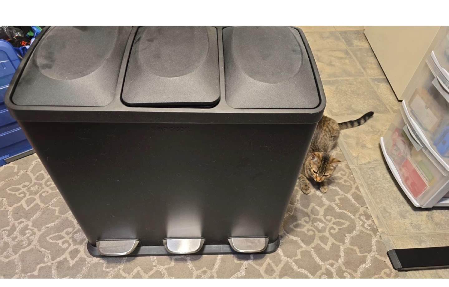 Triple Compartment Step Trash Can