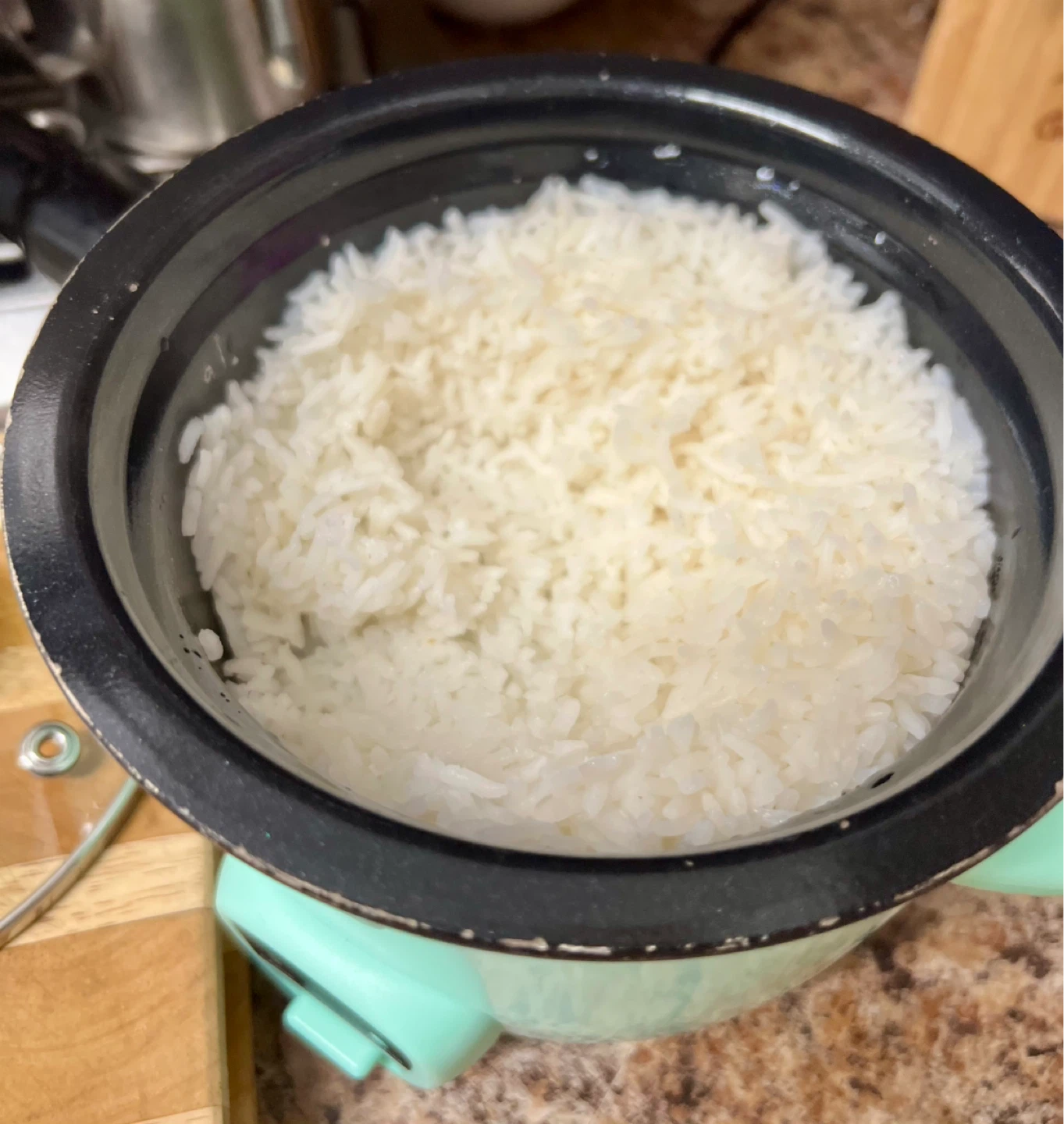Dash Aqua Mini Rice Cooker-1 cup - photo 5