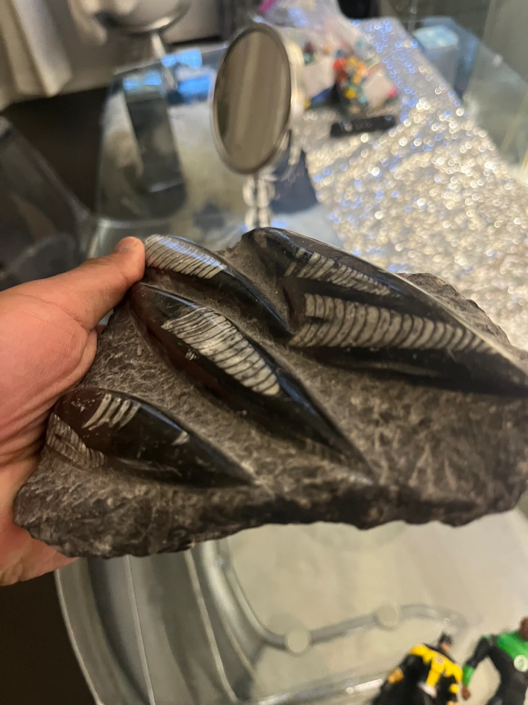 Fossil Orthoceras - photo 5