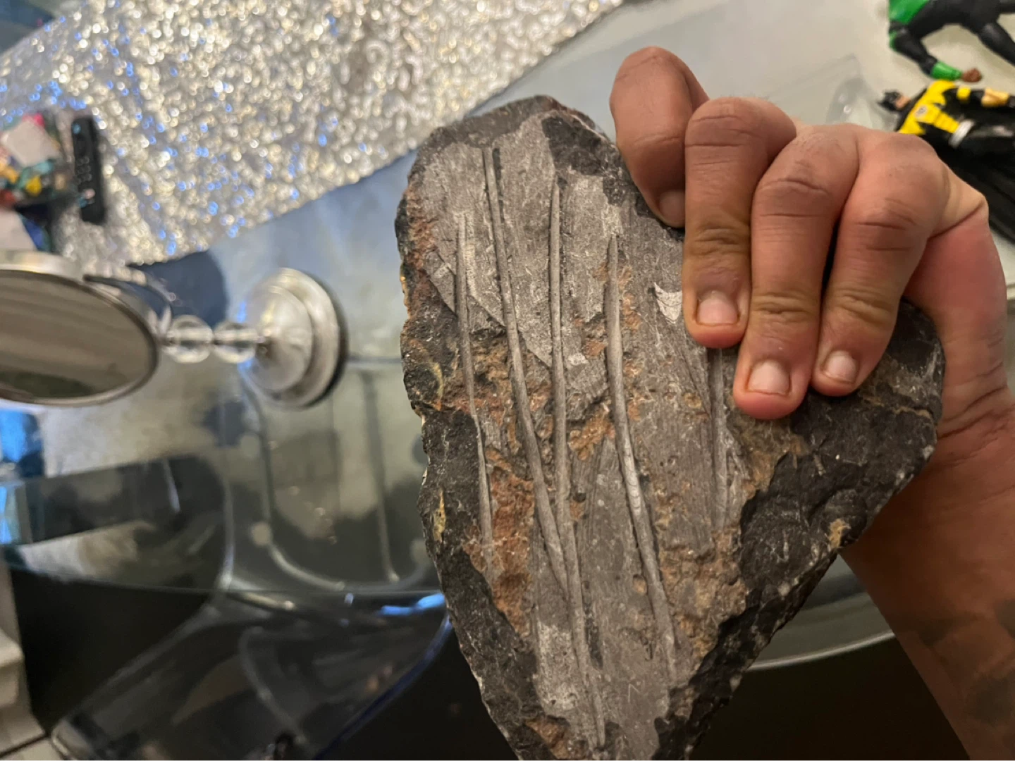Fossil Orthoceras - photo 2
