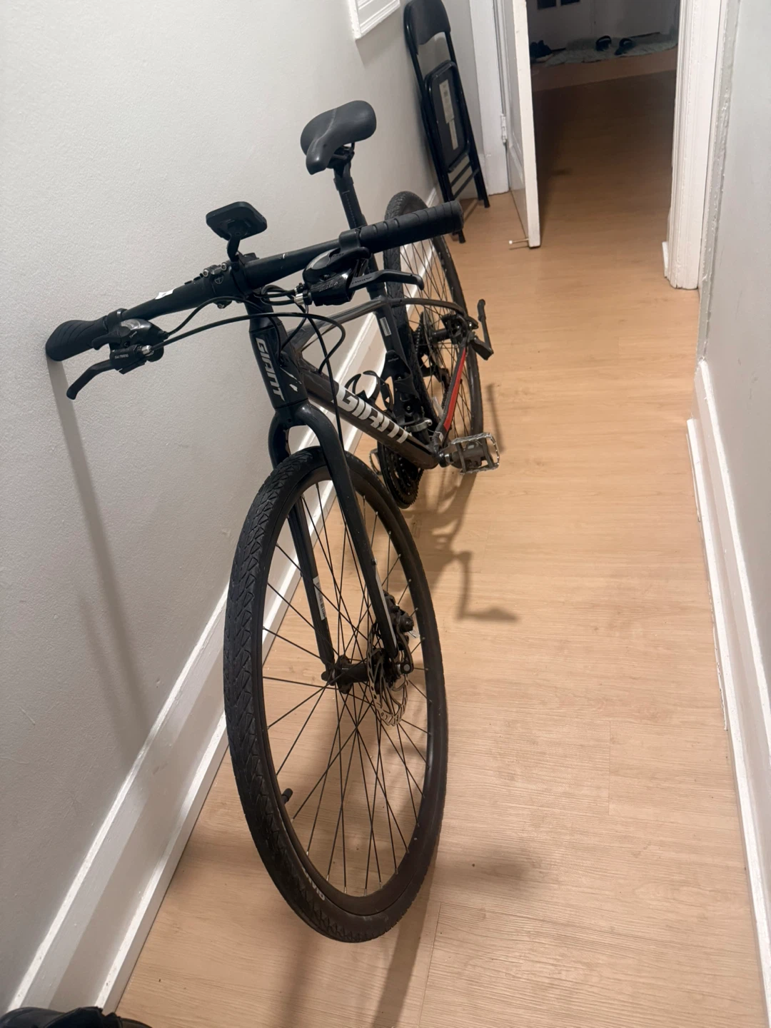 Giant Escape Hybrid Bike