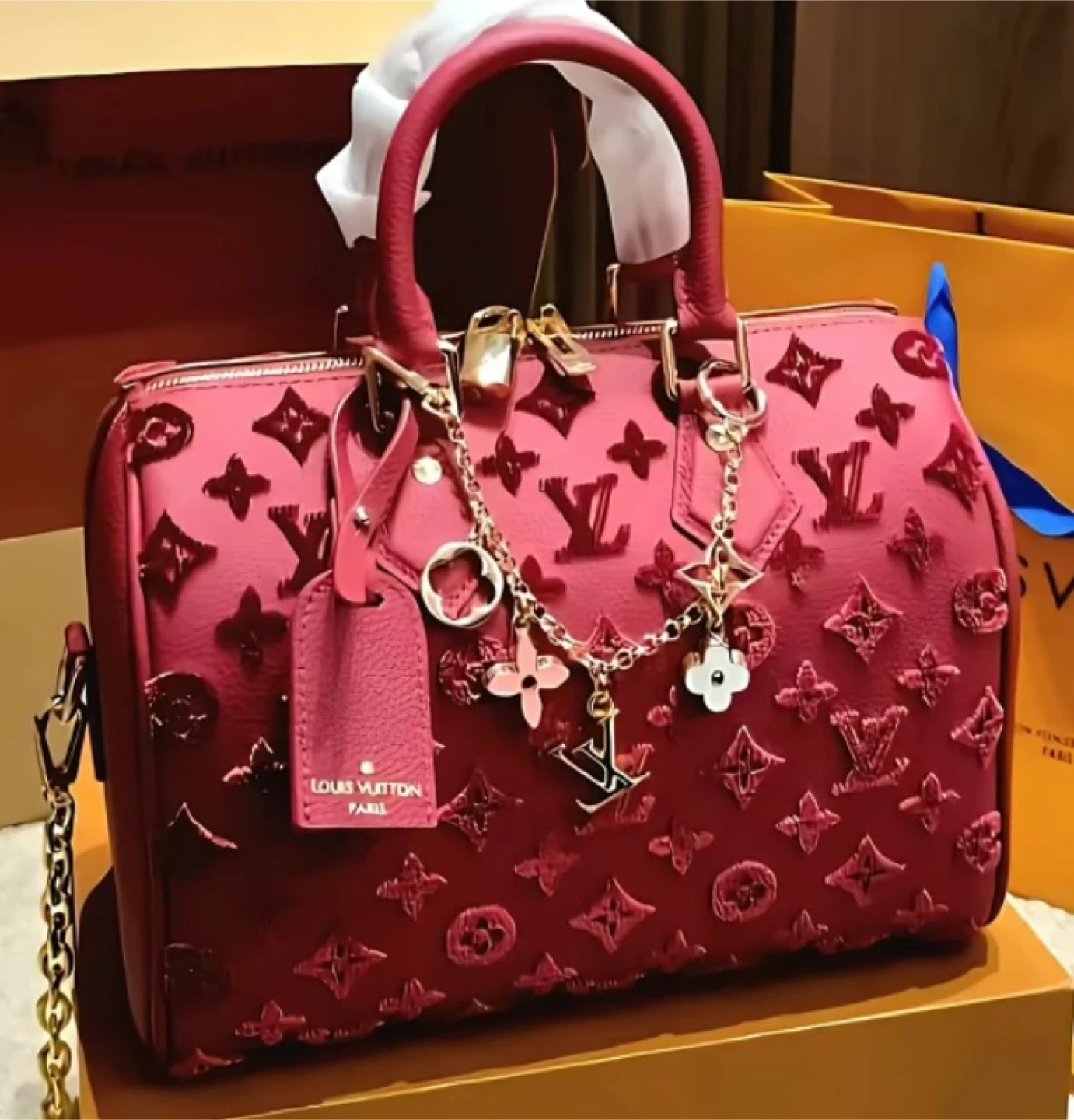 Louis Vuitton Speedy Bag