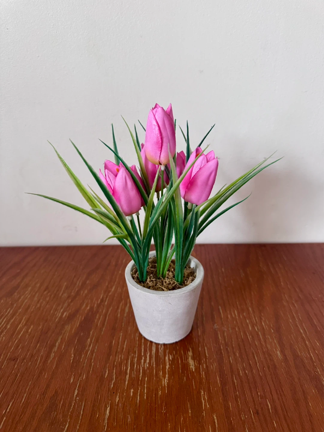 Artificial Plastic Tulips