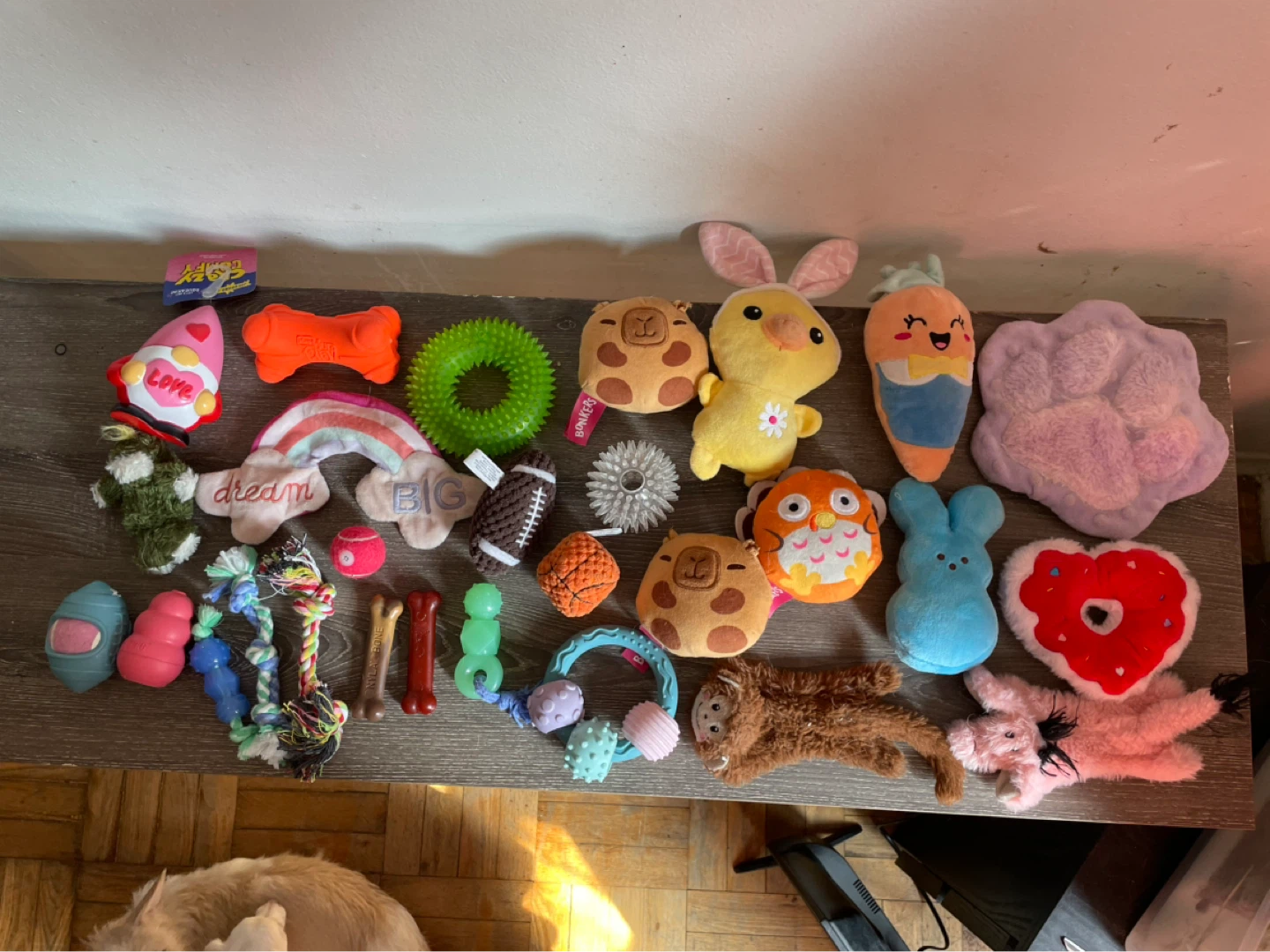 28pc Small Dog Toys Lot