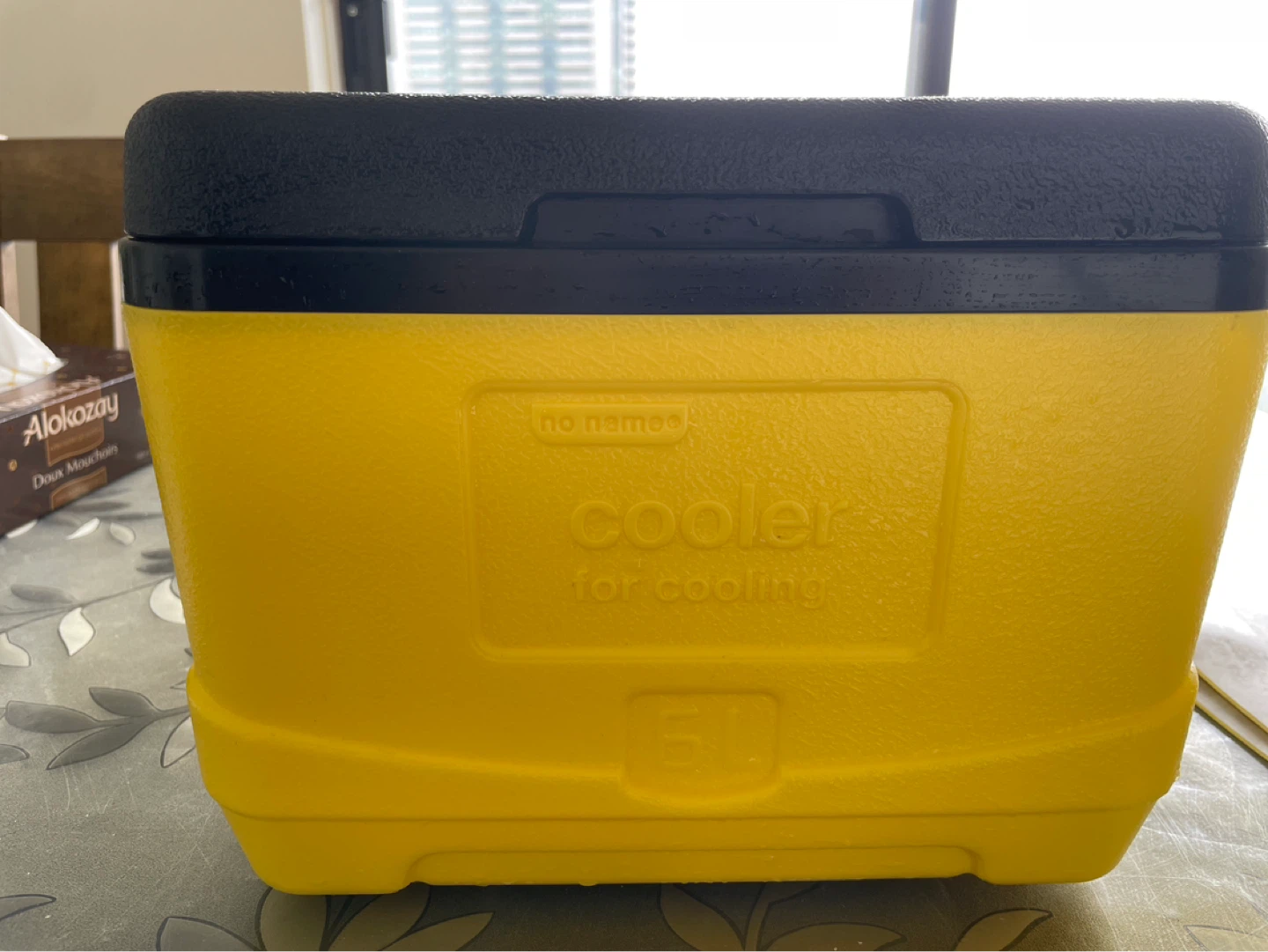 No Name Cooler with 10 Ice Bricks