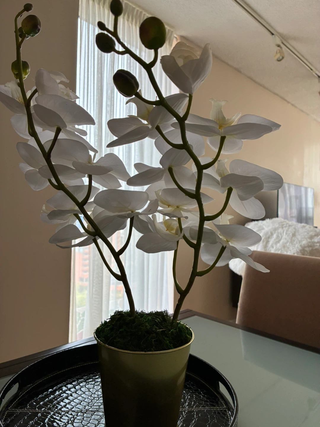 Artificial White Orchid Plant-2 stems - photo 5