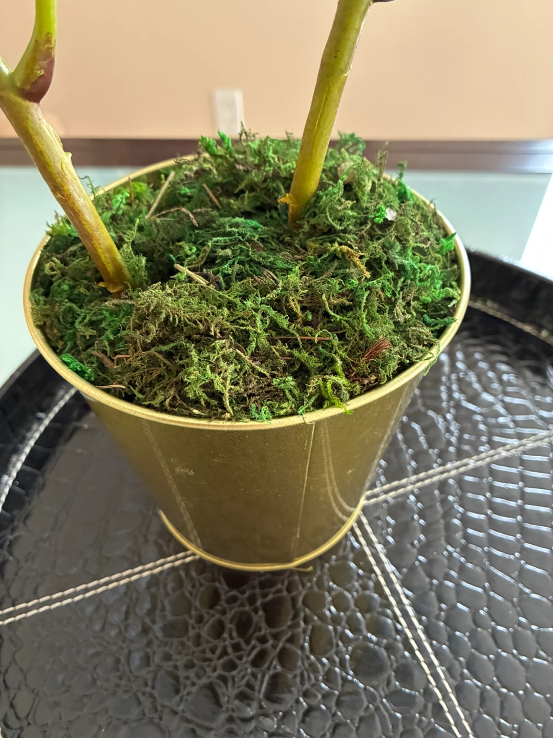 Artificial White Orchid Plant-2 stems - photo 3