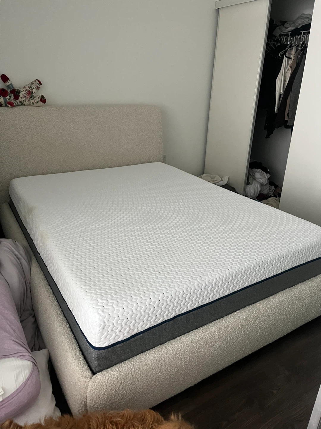 Queen Endy Mattress Plush - photo 5
