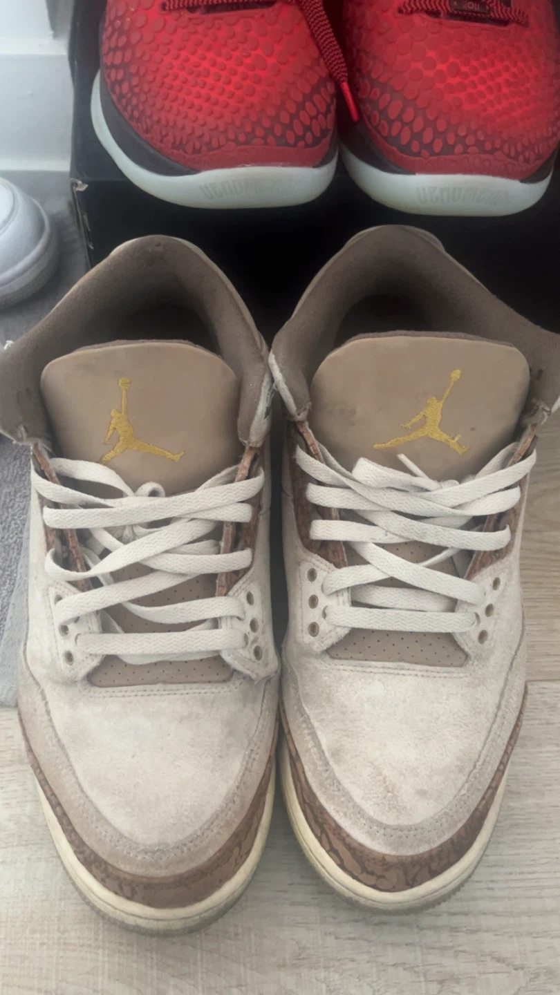 Air Jordan 3 Retro SE Men's Shoes US 10.5