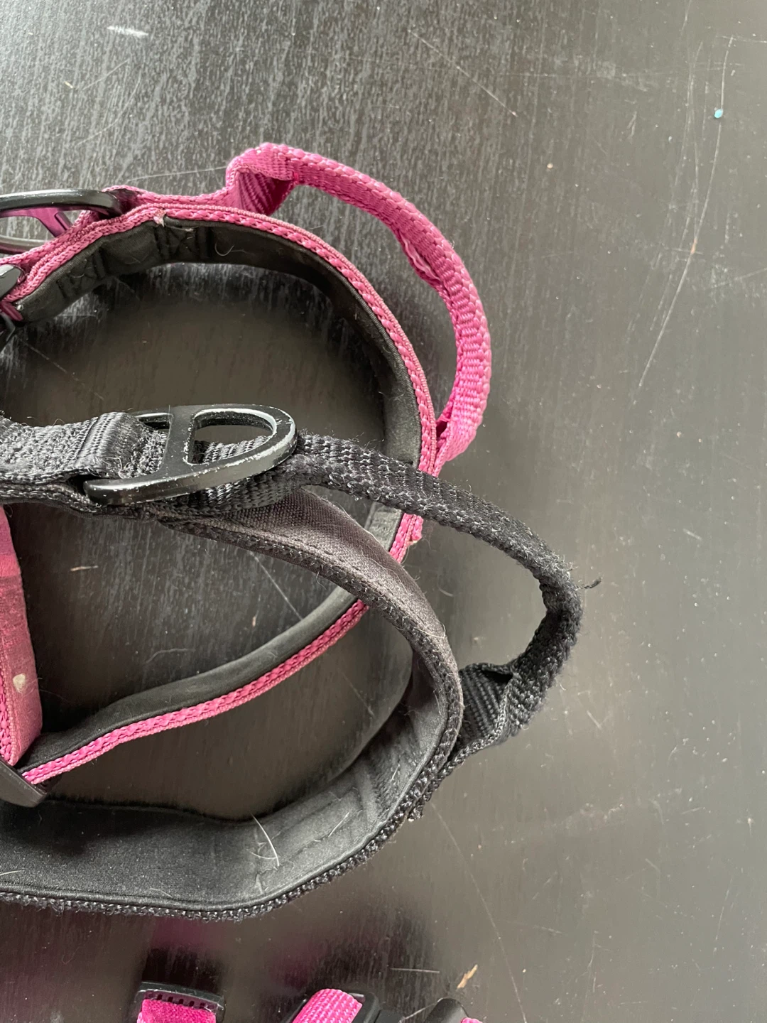 Medium Kong Dog Harness & Collars - photo 4
