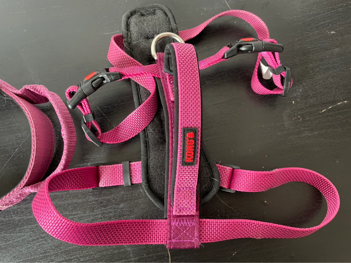 Medium Kong Dog Harness & Collars - photo 2