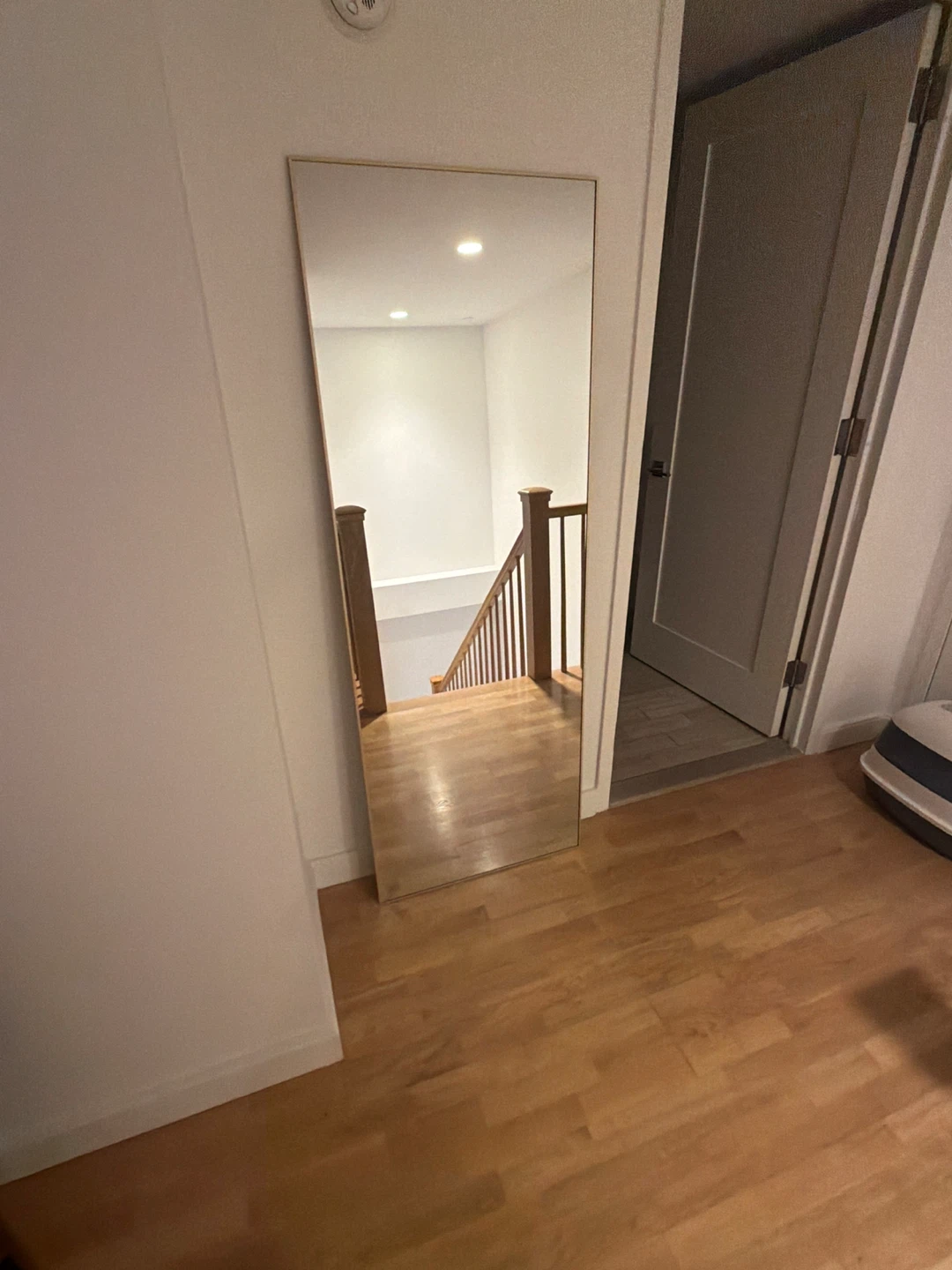 Full Length Mirror with Thin Gold Frame