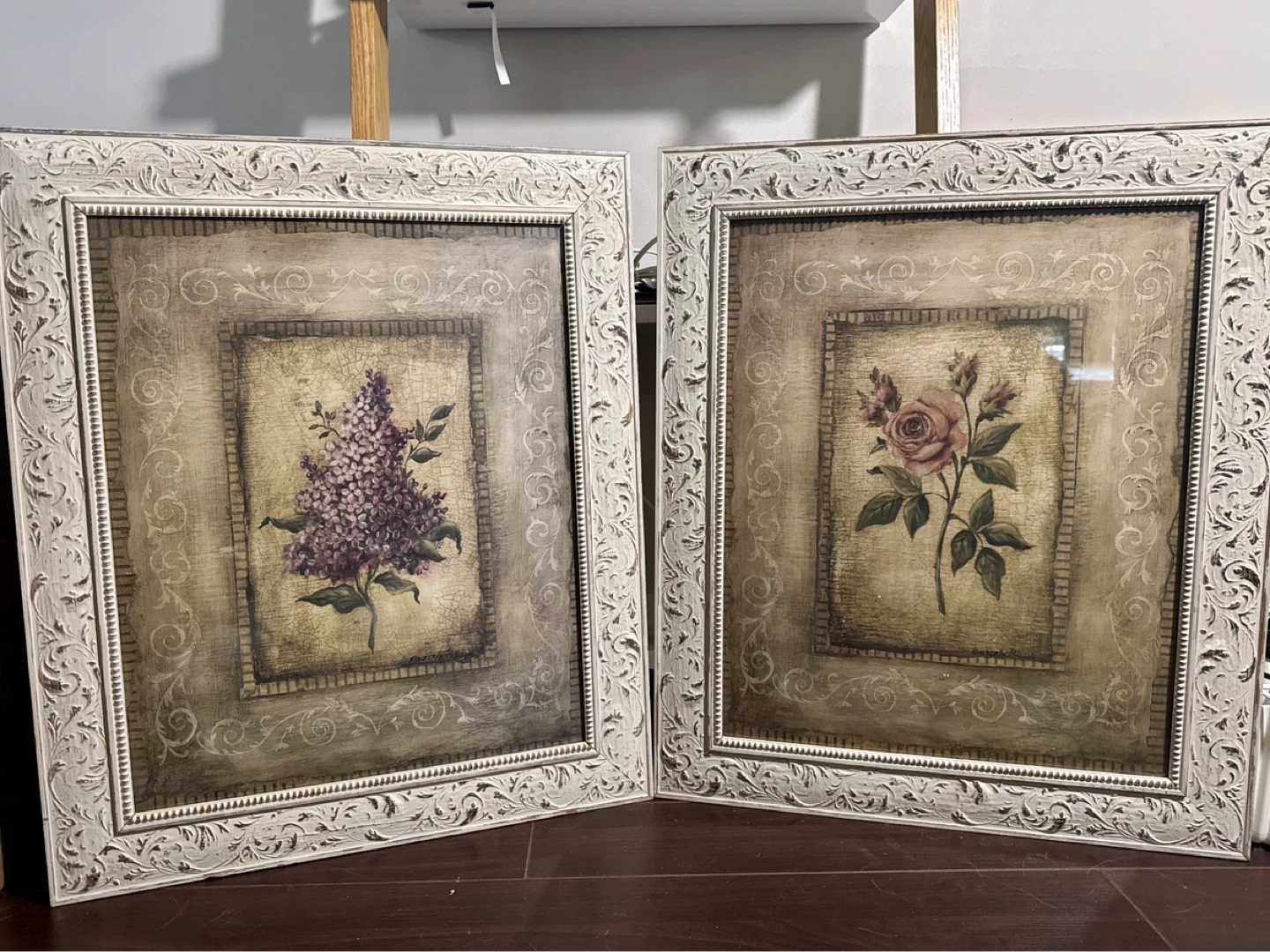 Set of 2 Framed Botanical Prints