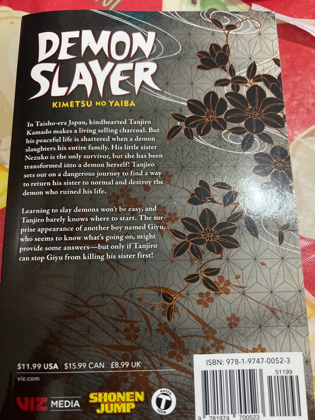 Demon Slayer: Kimetsu no Yaiba, Vol. 1 - photo 2