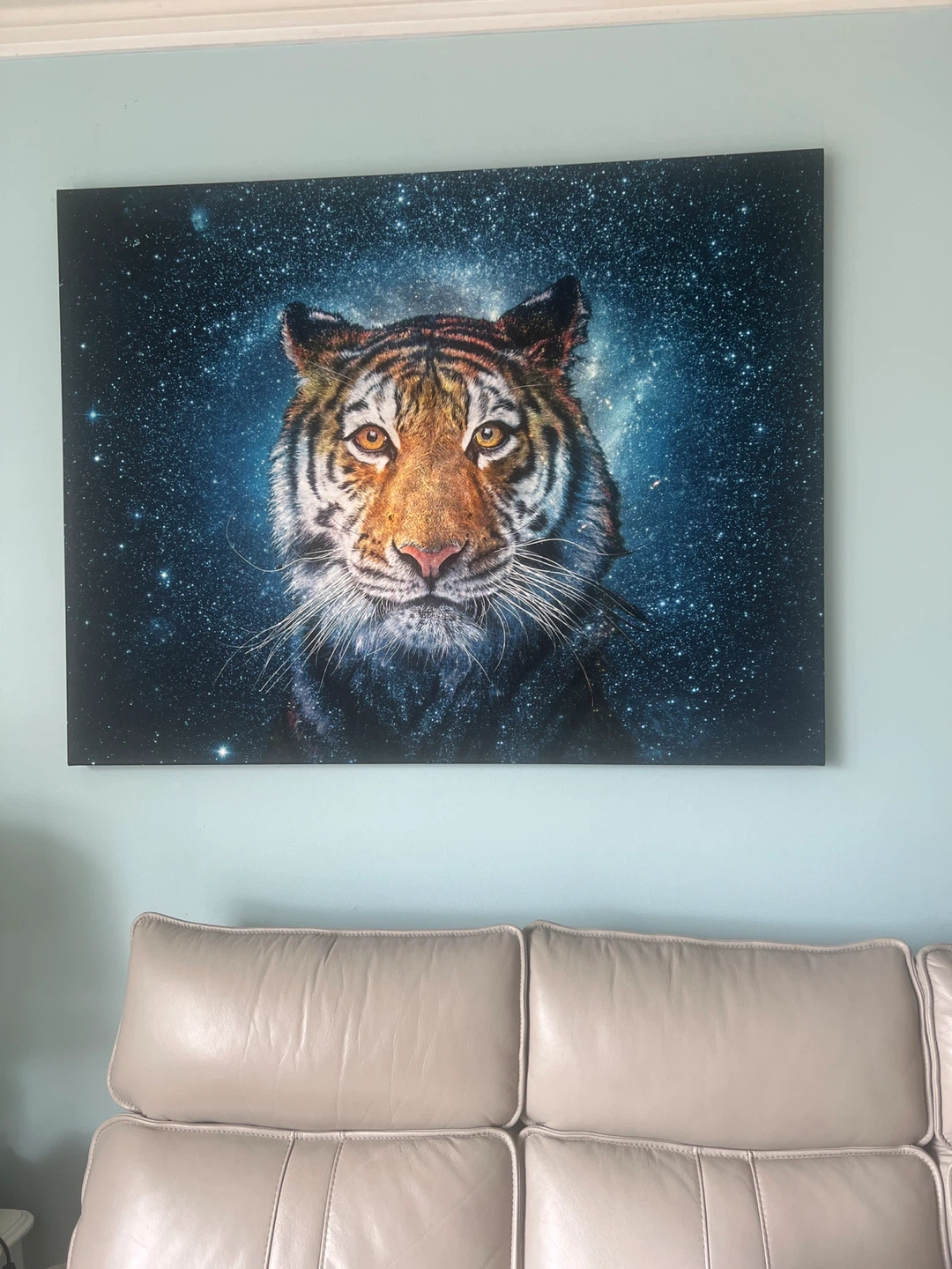 Canvas Wall Art - Lion & Tiger Prints
