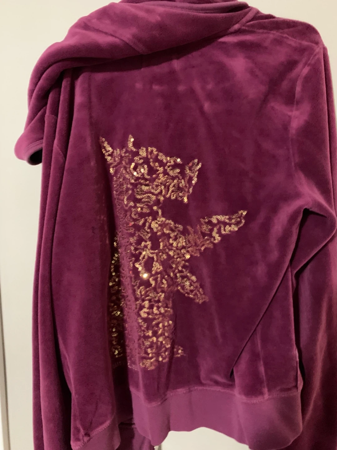 $5 juicy couture jacket - photo 2
