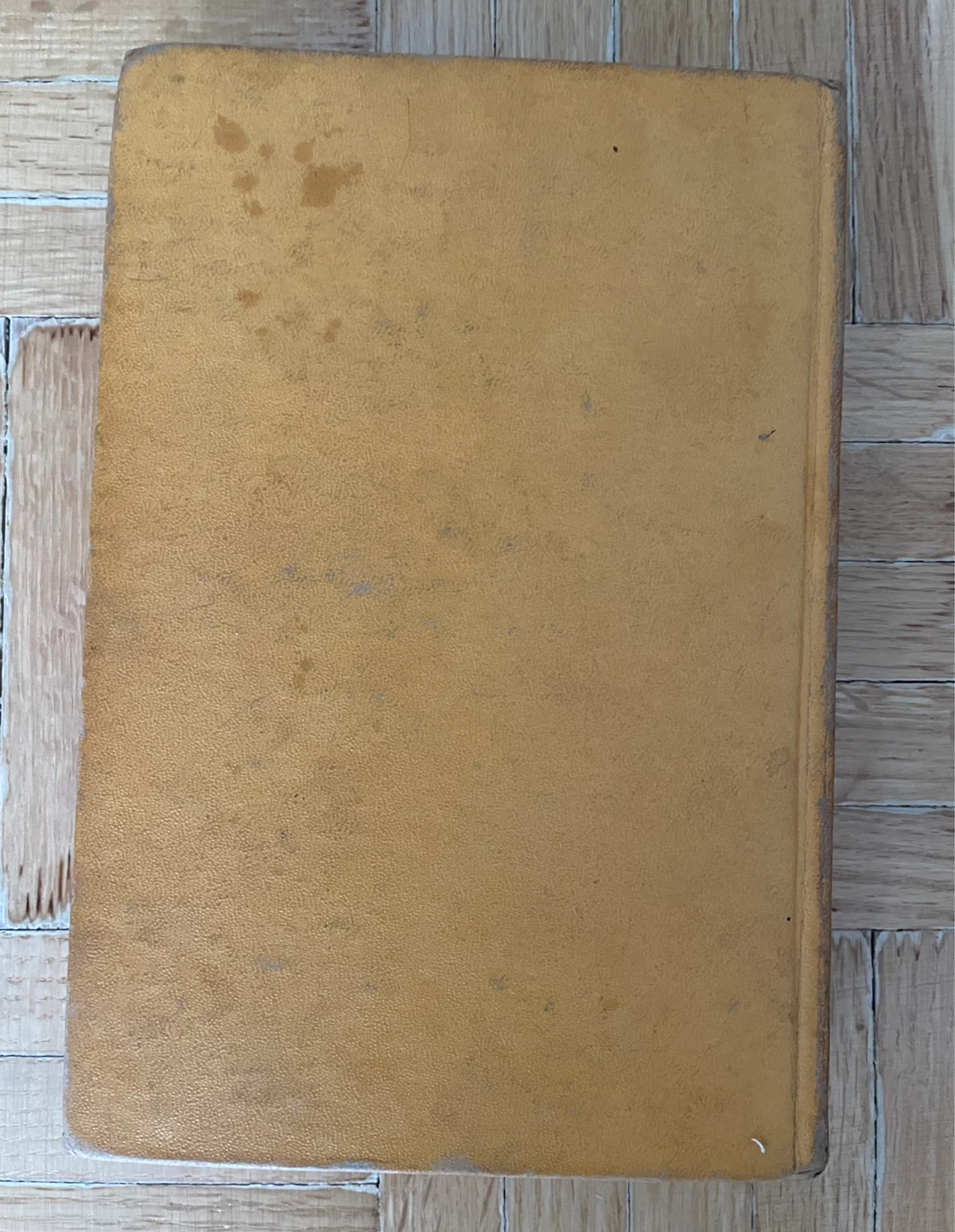 Antique 1927 Hardcover Boom Bomba The Jungle Boy - photo 3