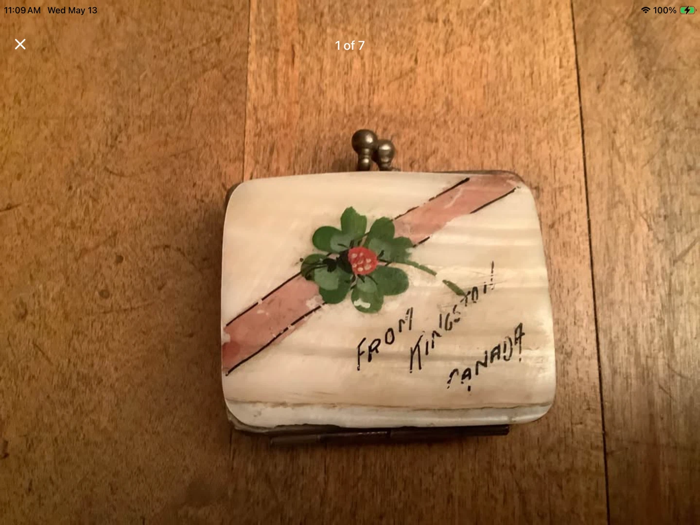 Early 1900’s Hd Ptd Mother of Pearl Coin Purse 🐞