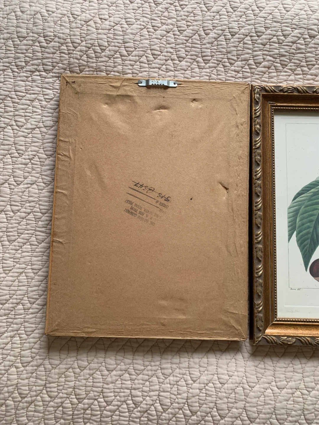 Framed Botanical Prints - Wild Cherry & Buck Eye - photo 2