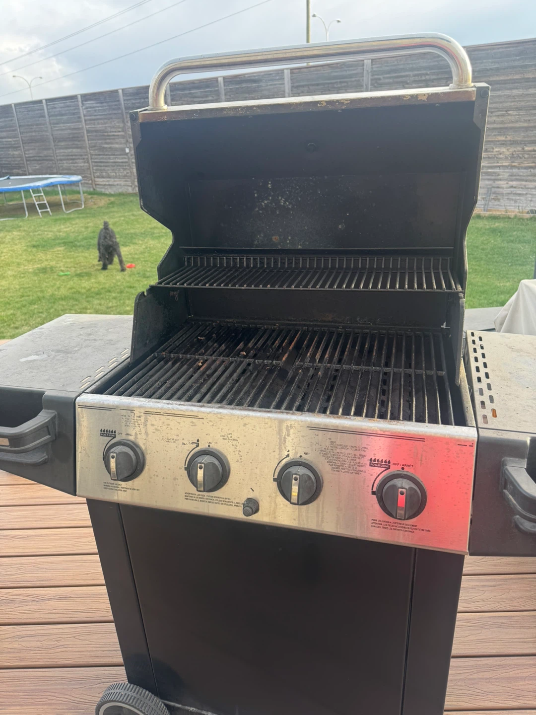 Sterling 4-Burner Propane Grill - photo 2