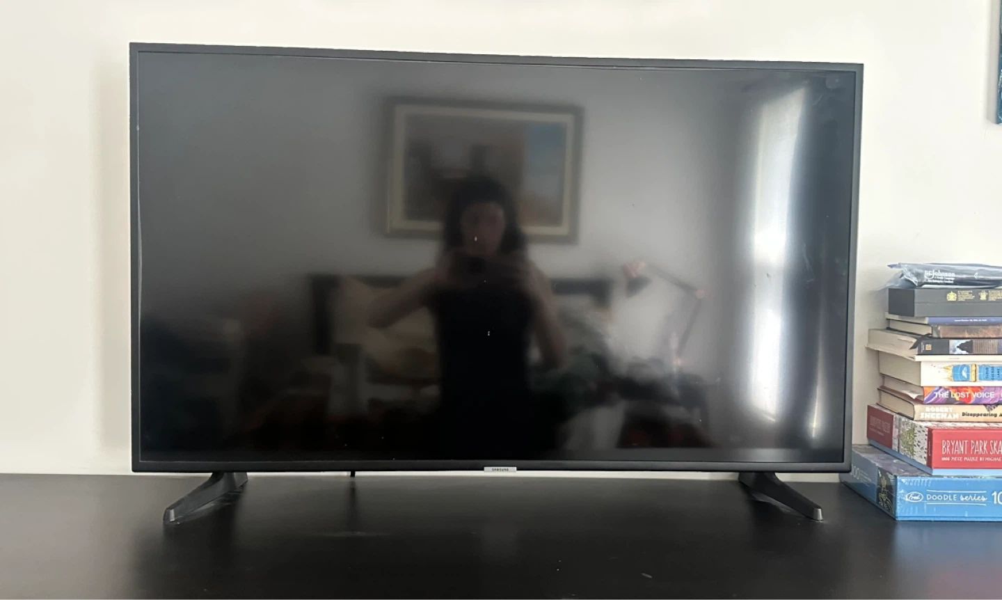 Samsung 42” Flat Screen TV
