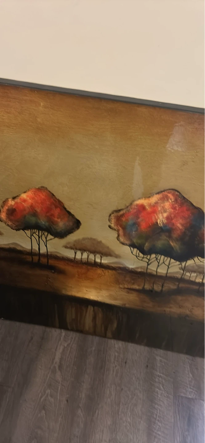 Framed African Landscape Wall Art - photo 2