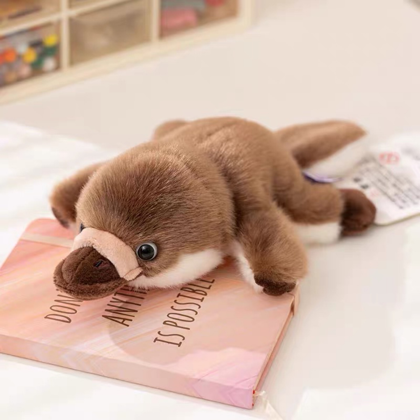 Platypus Plush Toy