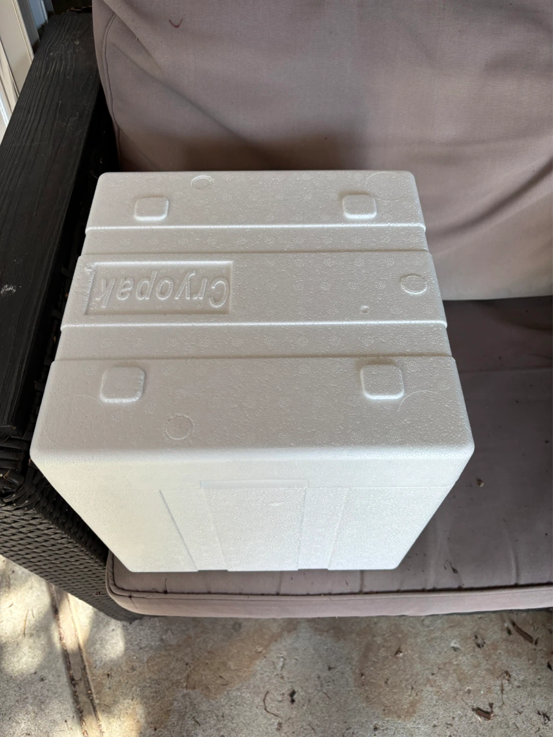 Cryopak Insulated Cooler Box with Ice Packs - photo 2
