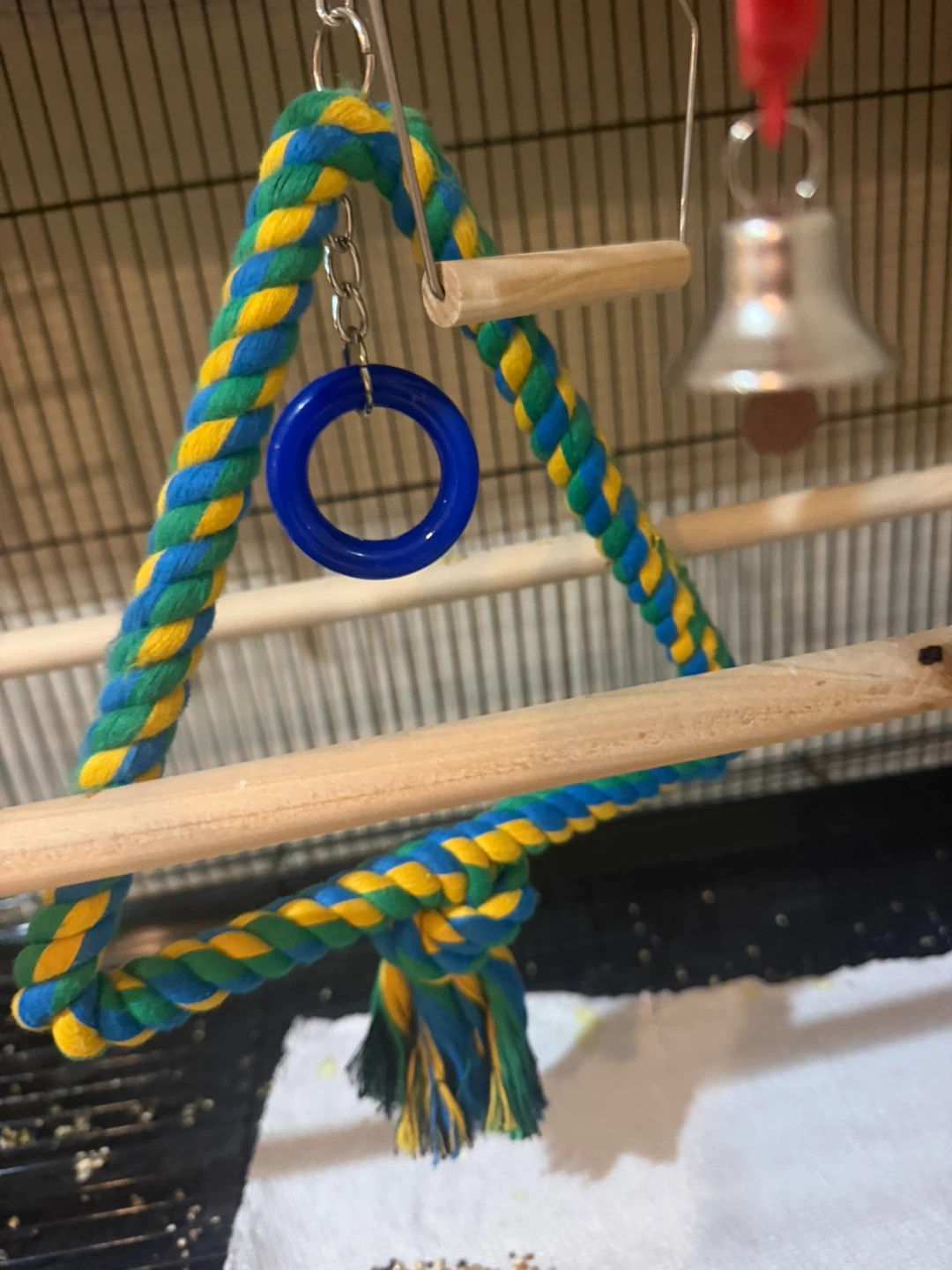 Copain Buddy Bird Cage and Accessories - photo 3