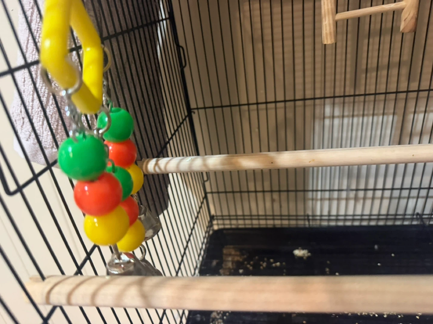 Copain Buddy Bird Cage and Accessories - photo 2